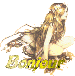 Bonjour mes ami(e)s